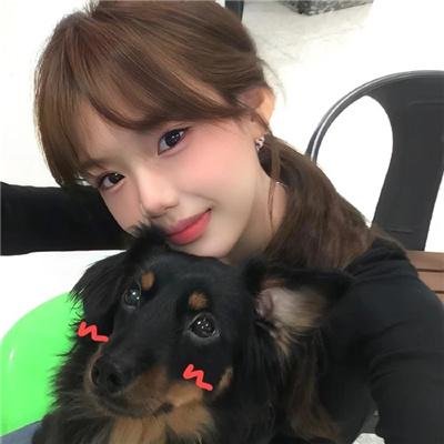 雪地黄金犬2
